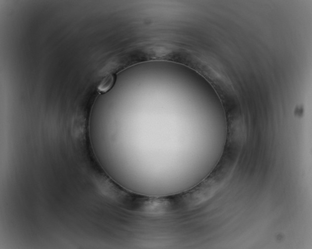 X0000103270274200809051514