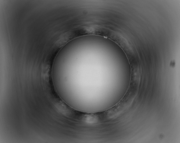 X0000103270275200809051514