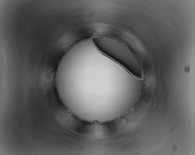X0000103270276200809051514