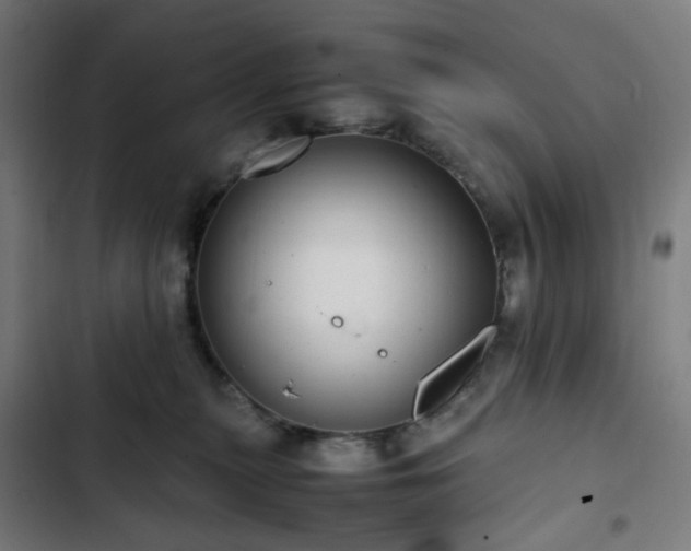 X0000103270279200809051514