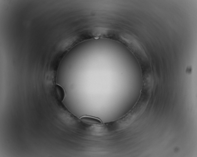 X0000103270280200809051514