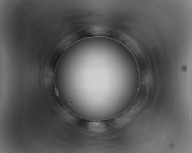 X0000103270281200809051514