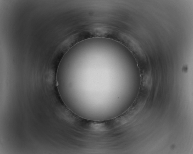 X0000103270283200809051515