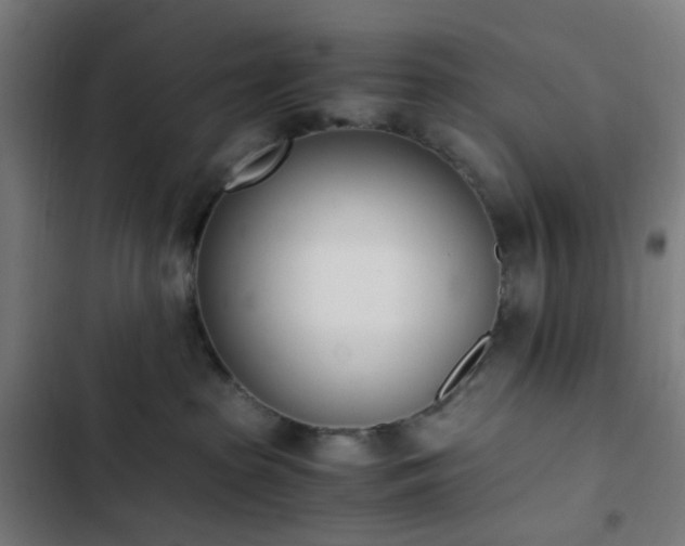 X0000103270285200809051515