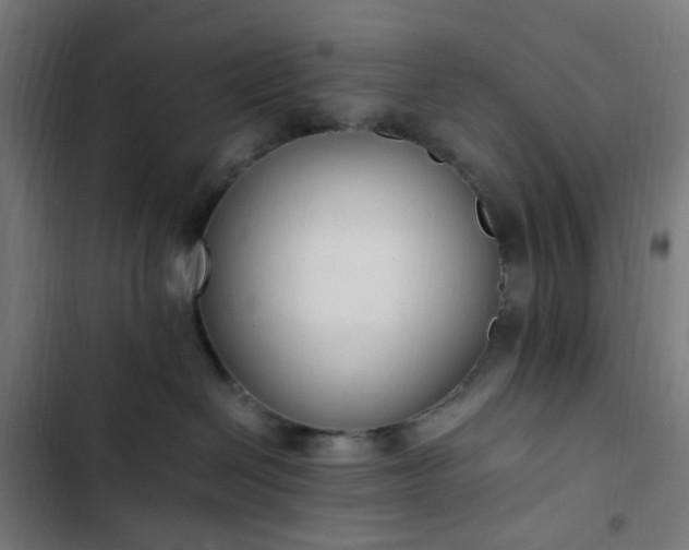 X0000103270286200809051515