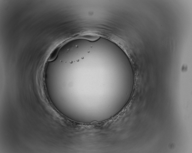X0000103270289200809051514