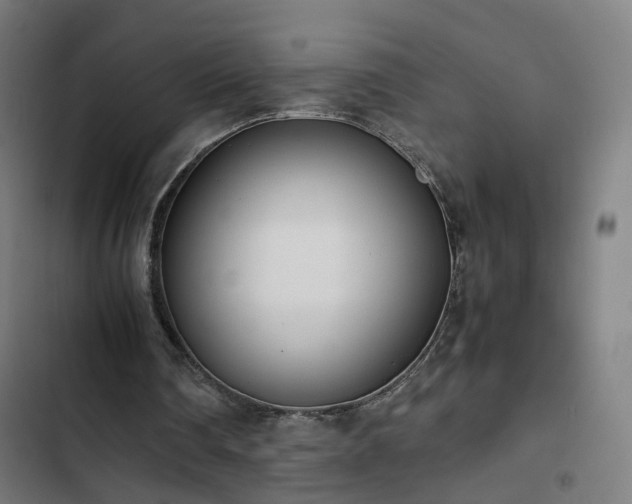 X0000103270290200809051514