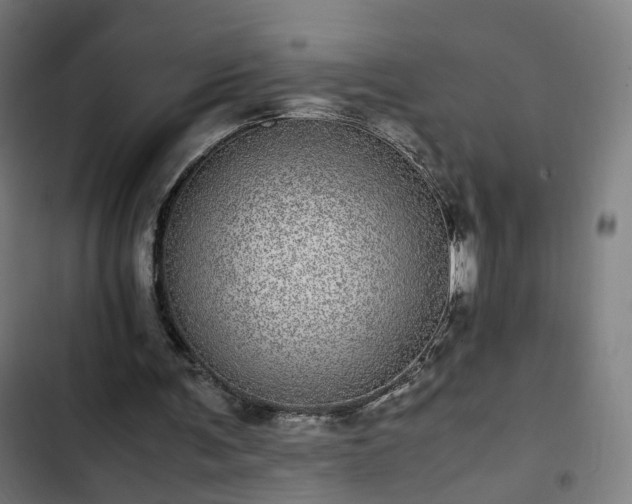 X0000103270291200809051514