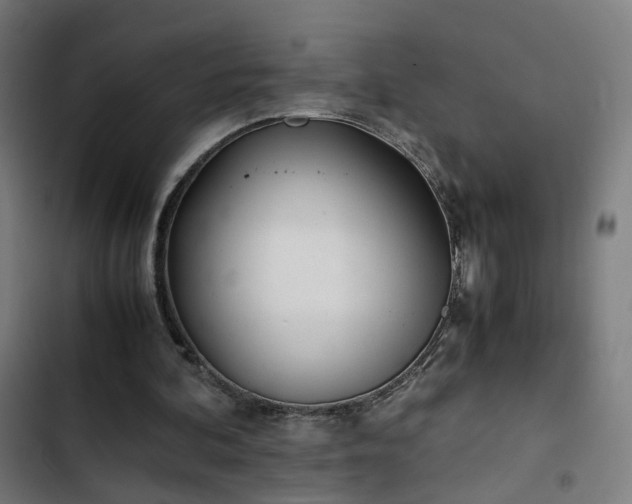 X0000103270292200809051514