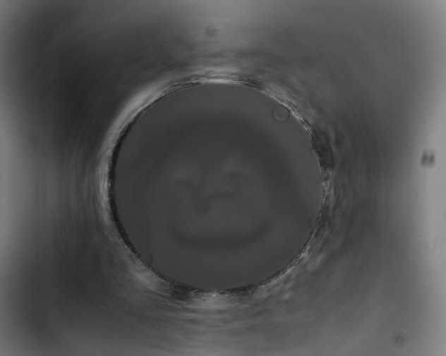 X0000103270293200809051514