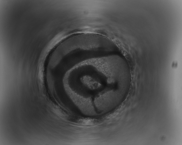 X0000103270295200809051514