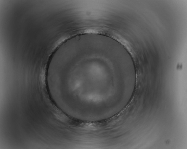 X0000103270297200809051514