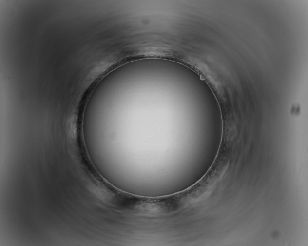 X0000103270299200809051514