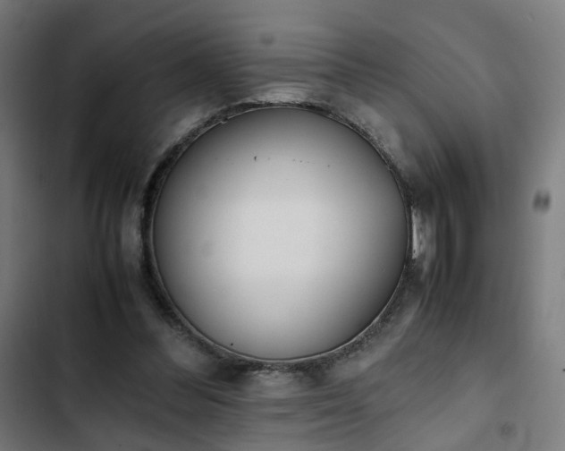 X0000103270300200809051514