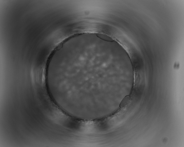X0000103270301200809051514