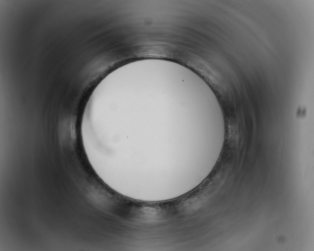 X0000103270302200809051513