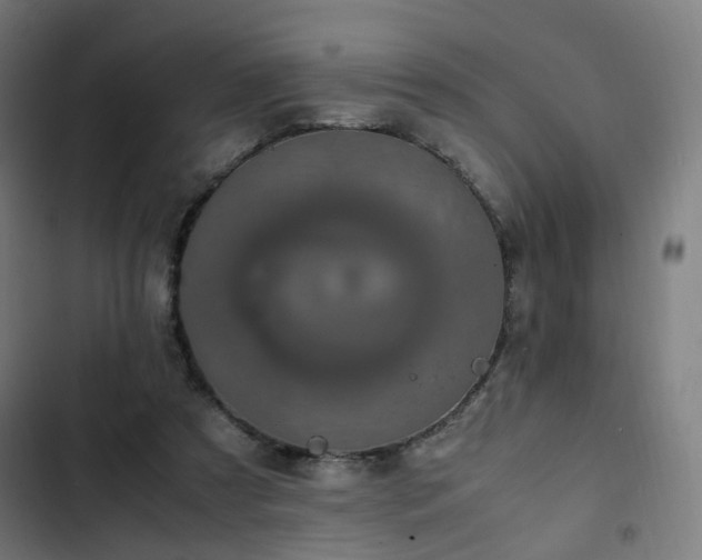 X0000103270305200809051513