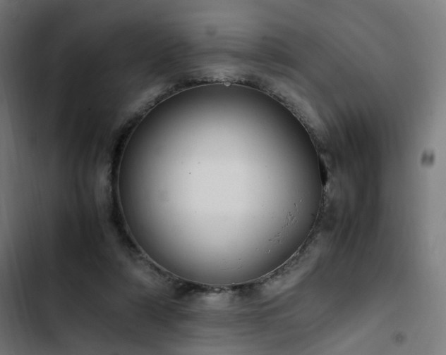 X0000103270306200809051513