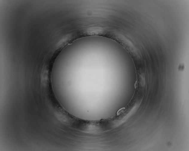 X0000103270308200809051513