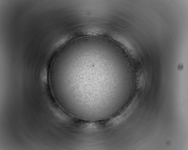 X0000103270310200809051513