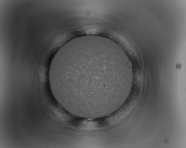 X0000103270311200809051513