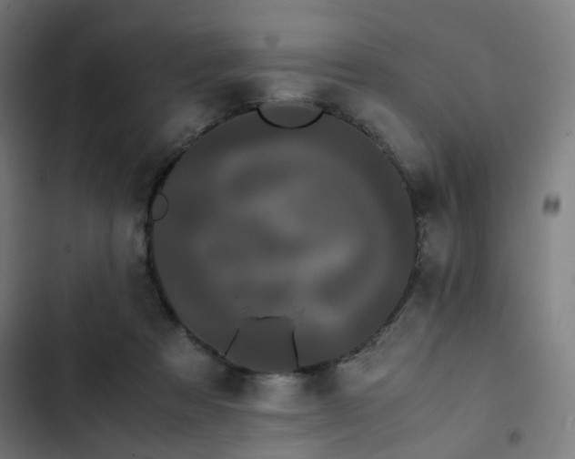 X0000103270313200809051513