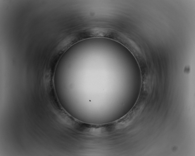 X0000103270314200809051513