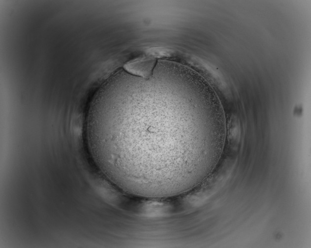X0000103270315200809051513
