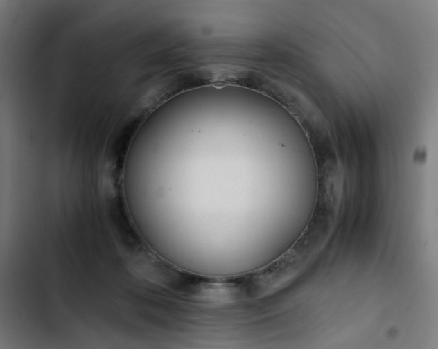 X0000103270316200809051513