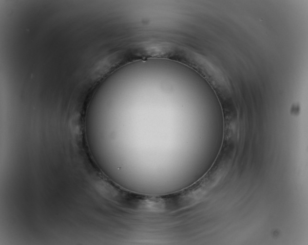 X0000103270317200809051513
