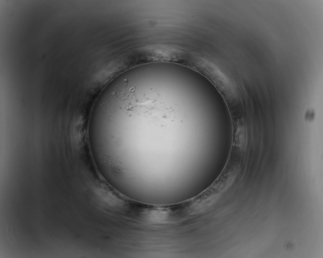 X0000103270318200809051513
