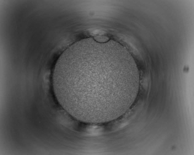 X0000103270319200809051513