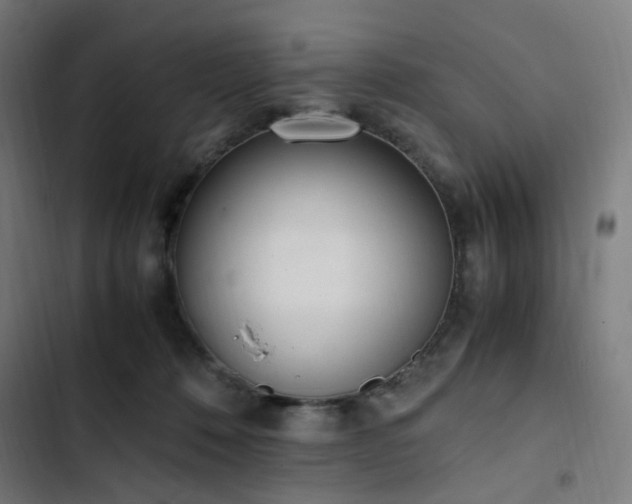 X0000103270320200809051513