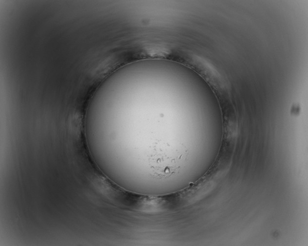 X0000103270321200809051513