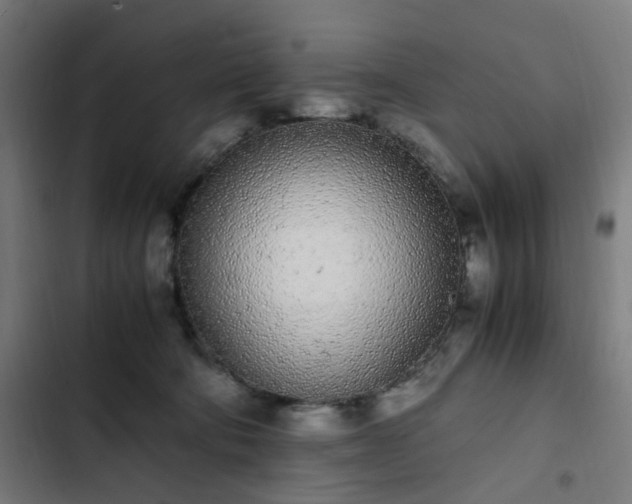 X0000103270322200809051513