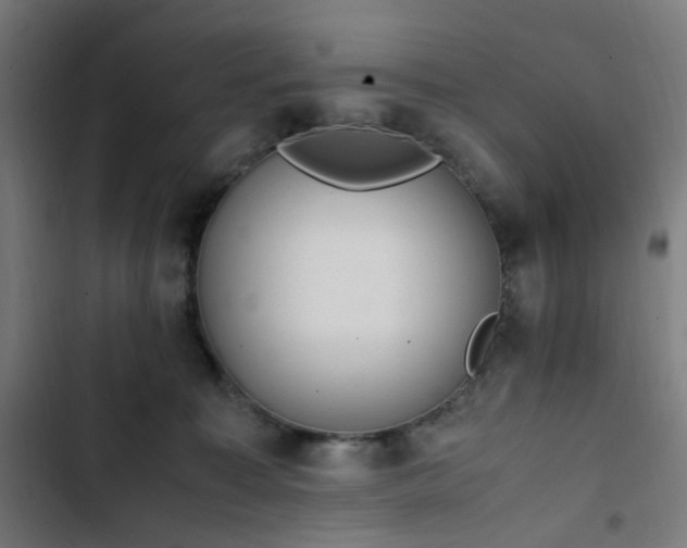 X0000103270323200809051513