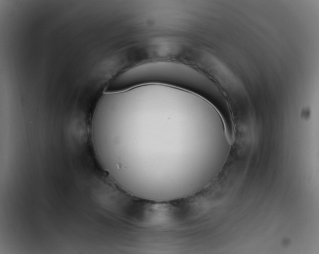 X0000103270324200809051513