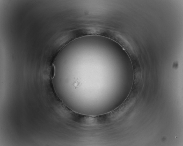X0000103270325200809051513