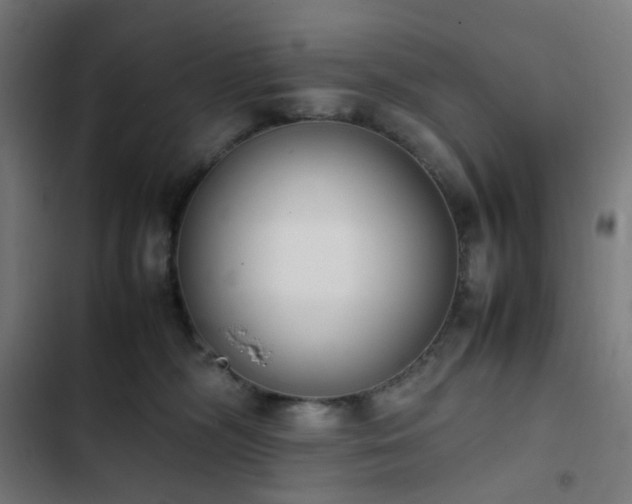X0000103270326200809051513