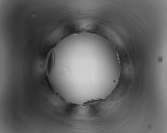 X0000103270328200809051513
