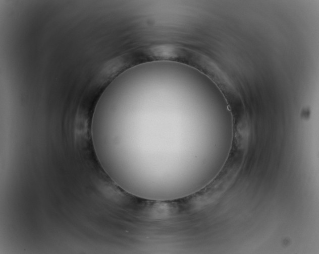 X0000103270330200809051513