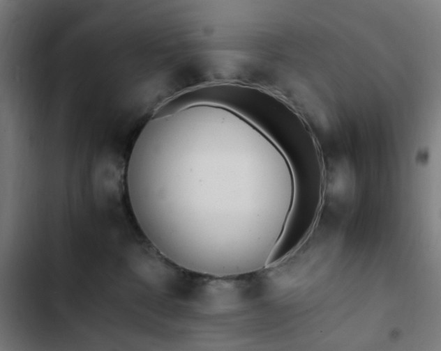 X0000103270332200809051513
