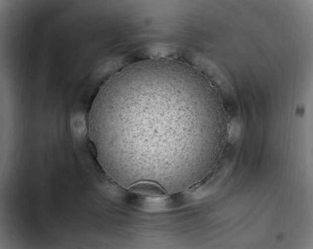 X0000103270335200809051513
