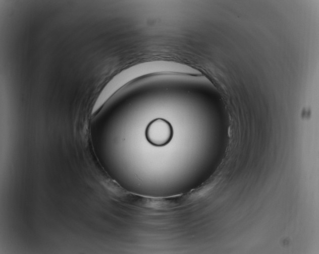 X0000103270336200809051513