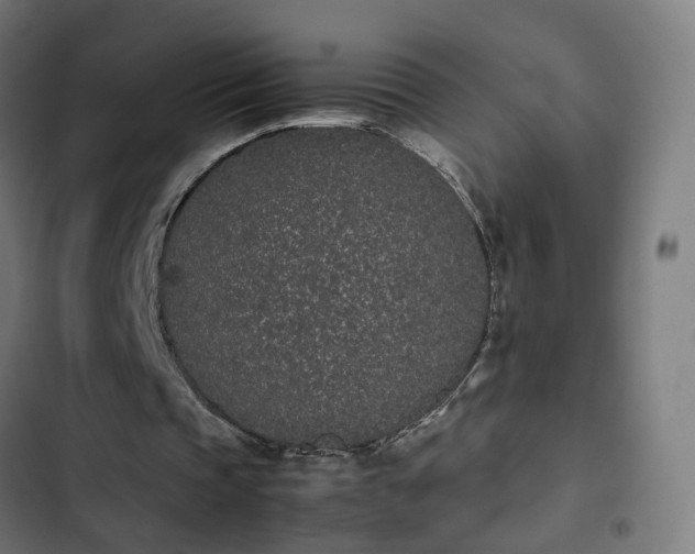X0000103270337200809051512