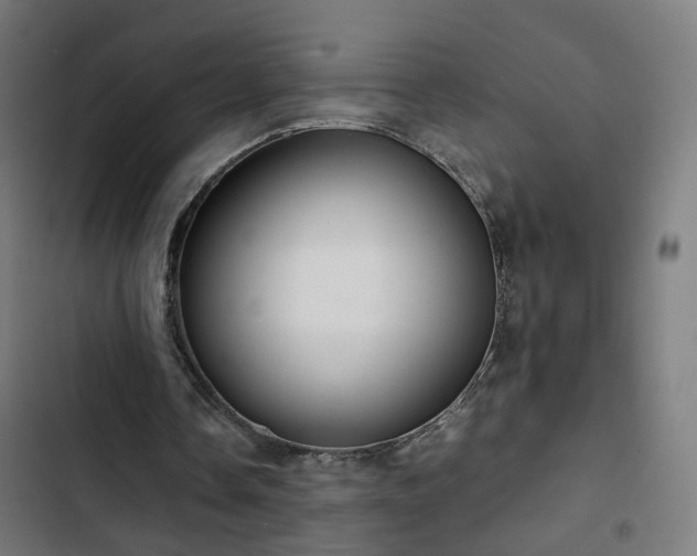 X0000103270338200809051512