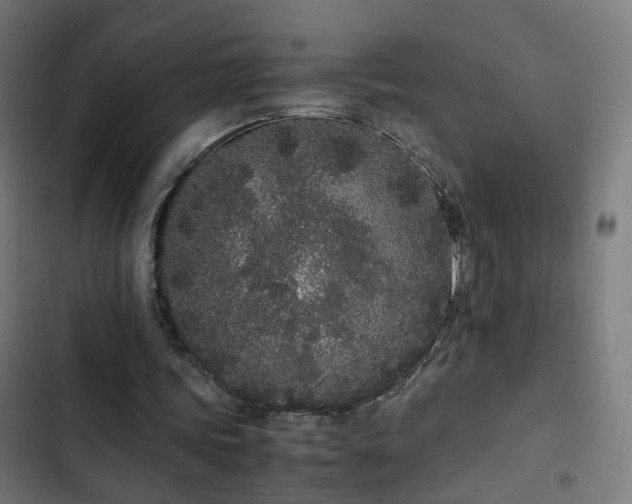 X0000103270339200809051512