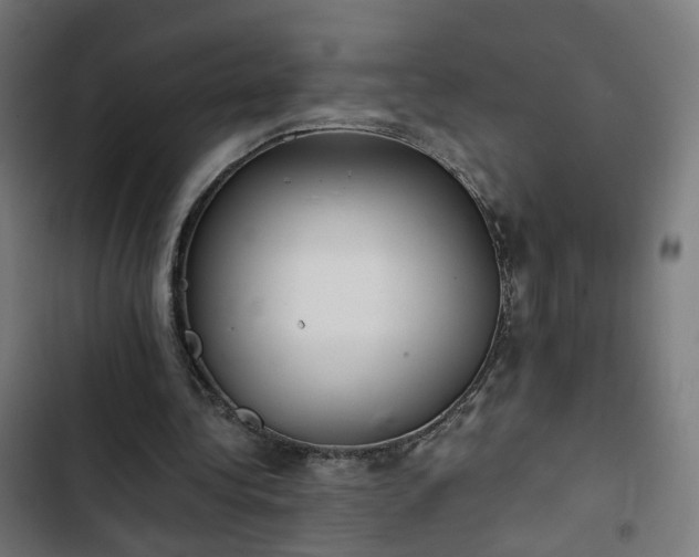 X0000103270340200809051512