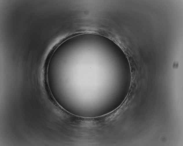 X0000103270342200809051512