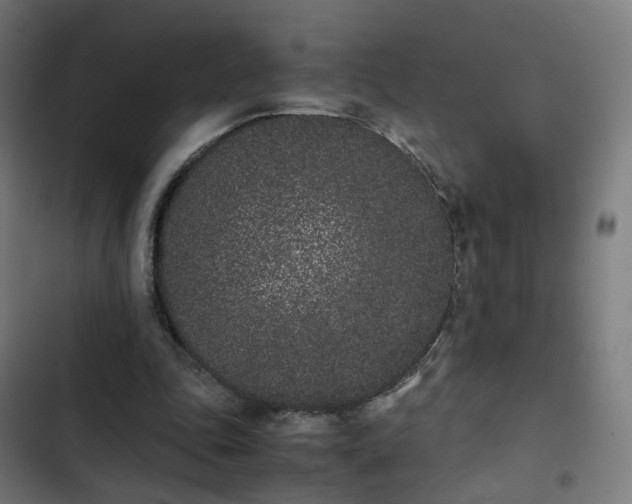 X0000103270343200809051512